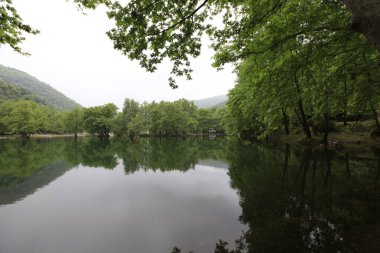 Yalova 'daki Erikli gölü ve ormanı.