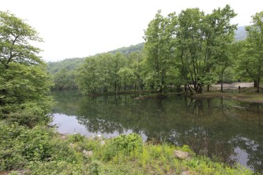 Yalova 'daki Erikli gölü ve ormanı.