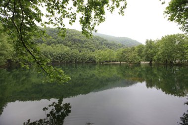 Yalova 'daki Erikli gölü ve ormanı.
