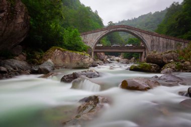 Kackar Dağları Ulusal Parkı, Vahşi Yaşam Parkı