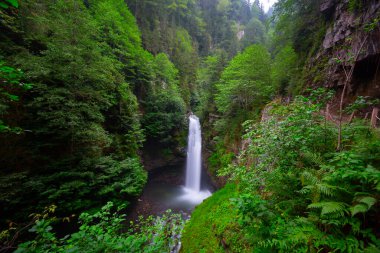Kakar Dağları Ulusal Parkı 'nda yer alan Palovit Şelalesi, Rize' deki en yüksek akış oranına sahip şelalelerden biridir..