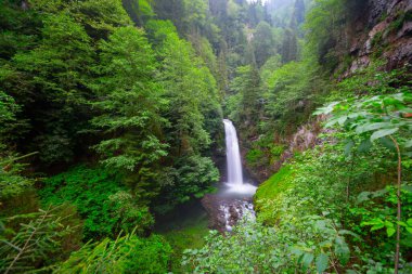 Kakar Dağları Ulusal Parkı 'nda yer alan Palovit Şelalesi, Rize' deki en yüksek akış oranına sahip şelalelerden biridir..