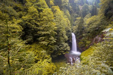 Kakar Dağları Ulusal Parkı 'nda yer alan Palovit Şelalesi, Rize' deki en yüksek akış oranına sahip şelalelerden biridir..