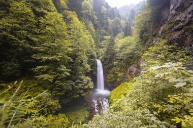 Kakar Dağları Ulusal Parkı 'nda yer alan Palovit Şelalesi, Rize' deki en yüksek akış oranına sahip şelalelerden biridir..