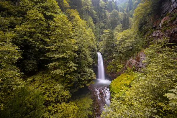 Kakar Dağları Ulusal Parkı 'nda yer alan Palovit Şelalesi, Rize' deki en yüksek akış oranına sahip şelalelerden biridir..