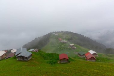 Pokut Platosu, Rize 'nin Amlhemin ilçesinde yer alan bir platodur..
