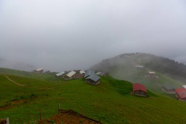 Pokut Platosu, Rize 'nin Amlhemin ilçesinde yer alan bir platodur..