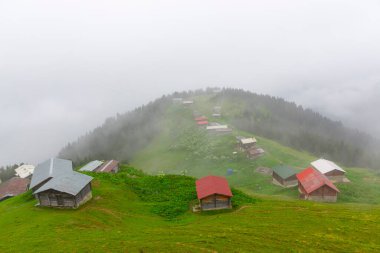 Pokut Platosu, Rize 'nin Amlhemin ilçesinde yer alan bir platodur..