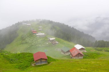 Pokut Platosu, Rize 'nin Amlhemin ilçesinde yer alan bir platodur..