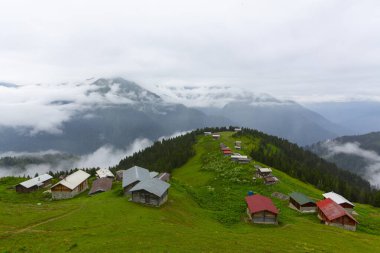 Pokut Platosu, Rize 'nin Amlhemin ilçesinde yer alan bir platodur..