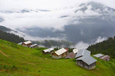 Pokut Platosu, Rize 'nin Amlhemin ilçesinde yer alan bir platodur..