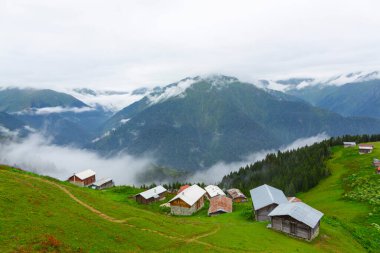Pokut Platosu, Rize 'nin Amlhemin ilçesinde yer alan bir platodur..