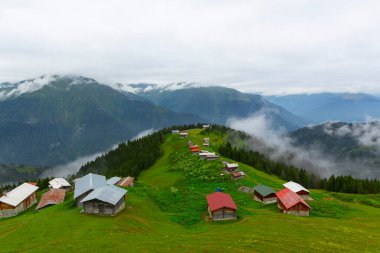 Pokut Platosu, Rize 'nin Amlhemin ilçesinde yer alan bir platodur..