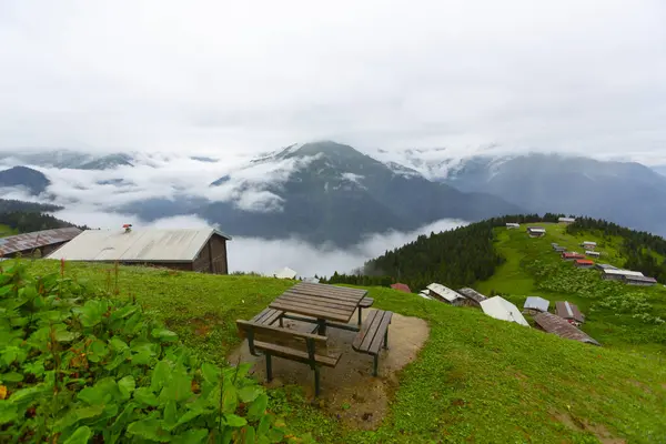 Pokut Platosu, Rize 'nin Amlhemin ilçesinde yer alan bir platodur..