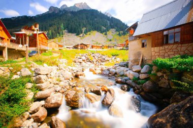 Elevit Platosu (eski adıyla Mezovit Platosu), Rize 'nin Amlhemin bölgesinde yer alan bir platodur. Bölgede muhtar ofisi olan ve 1800 metre yüksekliğe sahip tek plato konumundadır..