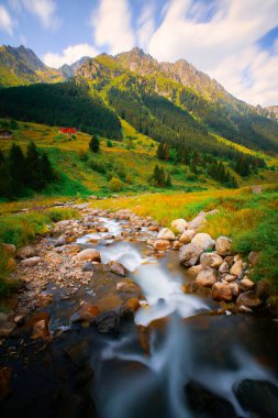 Elevit Plateau, or formerly known as Mezovit Plateau, is a plateau in the amlhemin district of Rize province. It is the only plateau in the region with a muhtar's office and has an altitude of 1800 meters. clipart