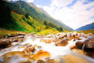 Elevit Platosu (eski adıyla Mezovit Platosu), Rize 'nin Amlhemin bölgesinde yer alan bir platodur. Bölgede muhtar ofisi olan ve 1800 metre yüksekliğe sahip tek plato konumundadır..