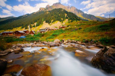 Elevit Platosu (eski adıyla Mezovit Platosu), Rize 'nin Amlhemin bölgesinde yer alan bir platodur. Bölgede muhtar ofisi olan ve 1800 metre yüksekliğe sahip tek plato konumundadır..