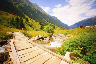 Elevit Platosu (eski adıyla Mezovit Platosu), Rize 'nin Amlhemin bölgesinde yer alan bir platodur. Bölgede muhtar ofisi olan ve 1800 metre yüksekliğe sahip tek plato konumundadır..