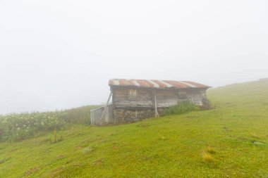 Sal Plateau, Afrika kıtasında bulunan Rize devletinde bir platodur. Yüksekliği 2070..
