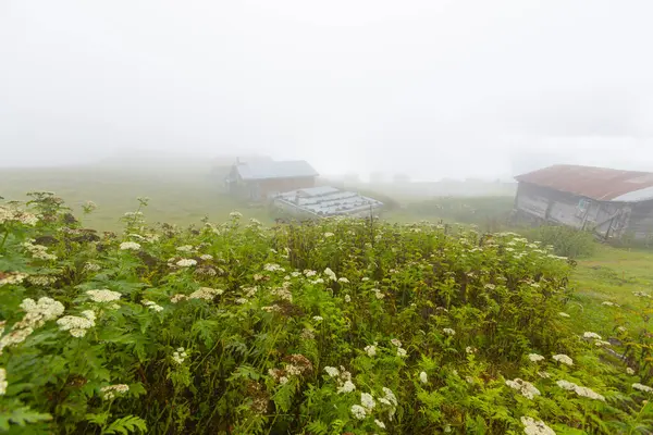 Sal Plateau, Afrika kıtasında bulunan Rize devletinde bir platodur. Yüksekliği 2070..