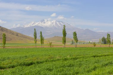 Erciyes is the highest mountain in Central Anatolia, with its peak reaching 3,917 meters. It covers an area of 3,300 square kilometers. clipart