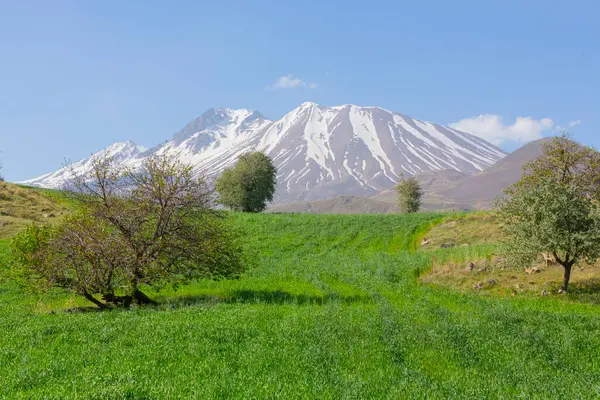 stock image Erciyes is the highest mountain in Central Anatolia, with its peak reaching 3,917 meters. It covers an area of 3,300 square kilometers.