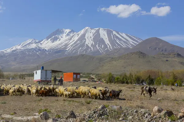 stock image Erciyes is the highest mountain in Central Anatolia, with its peak reaching 3,917 meters. It covers an area of 3,300 square kilometers.