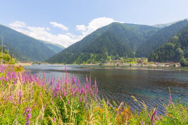 Uzungol, Trabzon ilinin Trabzon ilçesinde bulunan bir baraj gölüdür..