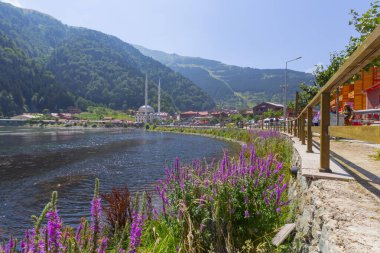Uzungol, Trabzon ilinin Trabzon ilçesinde bulunan bir baraj gölüdür..