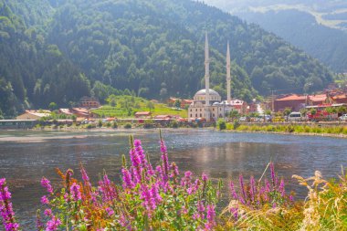 Uzungol, Trabzon ilinin Trabzon ilçesinde bulunan bir baraj gölüdür..