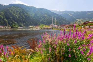 Uzungol, Trabzon ilinin Trabzon ilçesinde bulunan bir baraj gölüdür..