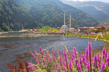 Uzungol, Trabzon ilinin Trabzon ilçesinde bulunan bir baraj gölüdür..