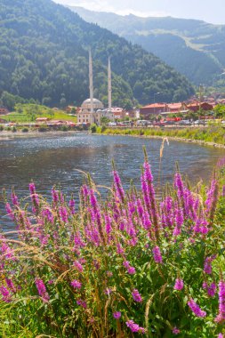 Uzungol is a landslide dam lake located in the Trabzon Province of Turkey. clipart