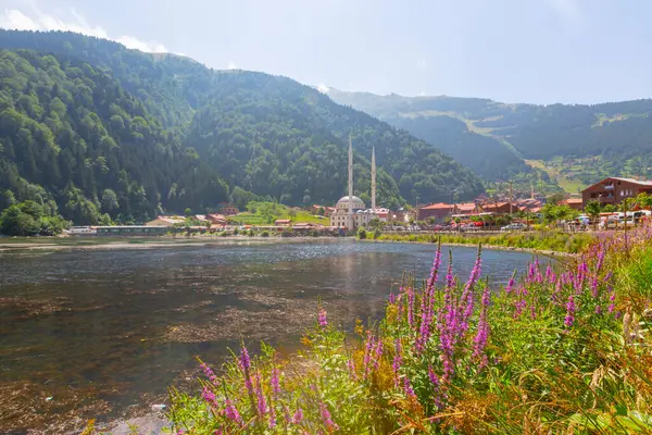 Uzungol, Trabzon ilinin Trabzon ilçesinde bulunan bir baraj gölüdür..