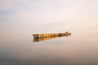 Kocaeli Plajı ve Sekapark Botanik