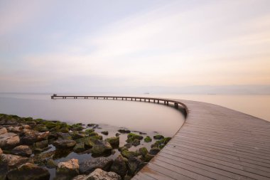 Kocaeli Plajı ve Sekapark Botanik