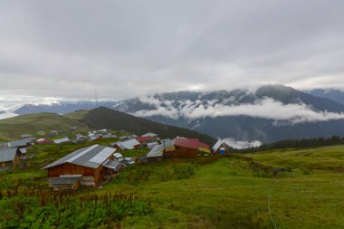 Gito, Rize ilinin Amlhemin ilçesine bağlı bir platodur. Plato, 2070 metre yükseklikteki vadide yer almaktadır..