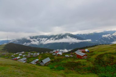 Gito, Rize ilinin Amlhemin ilçesine bağlı bir platodur. Plato, 2070 metre yükseklikteki vadide yer almaktadır..