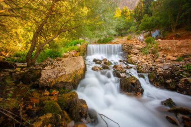 Kazdagi Stven Şelalesi (Hasan Bouldu) Milli Parklara bağlı ve Mutlu Orman tarafından yönetiliyor..