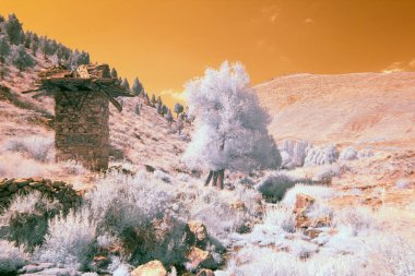 Photos taken with infrared technique clipart