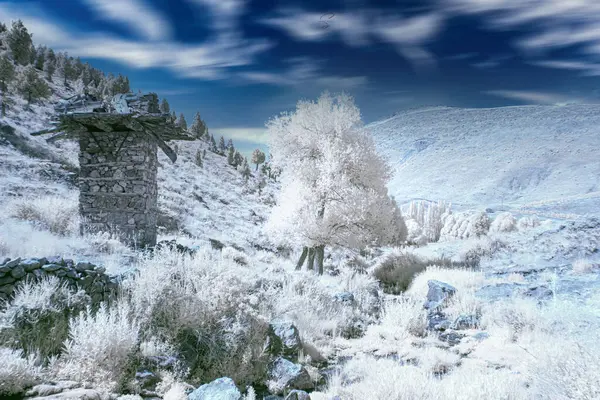Kızılötesi teknikle çekilmiş fotoğraflar