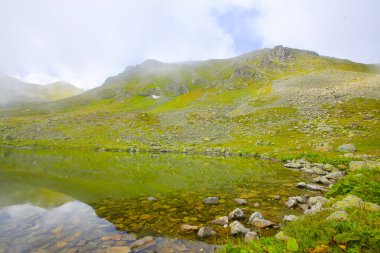 Kackar Dağları Ulusal Parkı, Doğa ve Yaşam