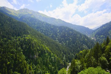 Kackar Dağları Ulusal Parkı, Doğa ve Yaşam