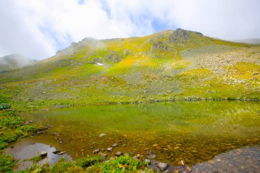 Kackar Dağları Ulusal Parkı, Doğa ve Yaşam