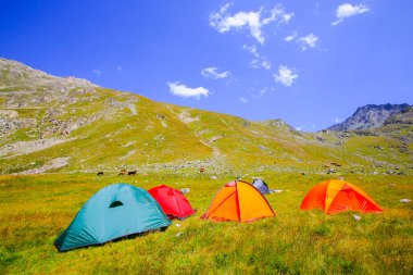 Kackar Dağları Ulusal Parkı, Doğa ve Yaşam