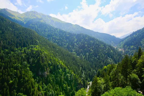 stock image Kackar Mountains National Park, Nature and life