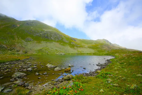 stock image Kackar Mountains National Park, Nature and life