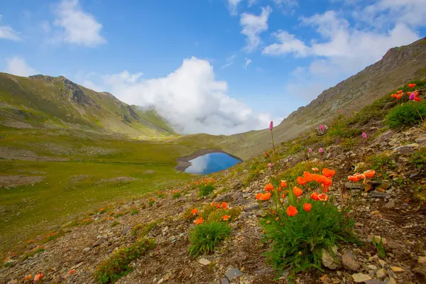 Kackar Dağları Ulusal Parkı, Doğa ve Yaşam