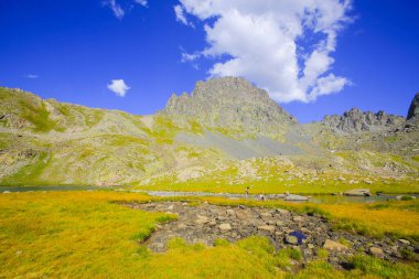 Kackar Dağları Ulusal Parkı, Doğa ve Yaşam